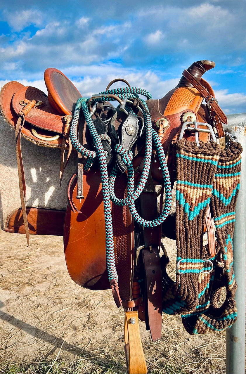 saddle 7947712 1280